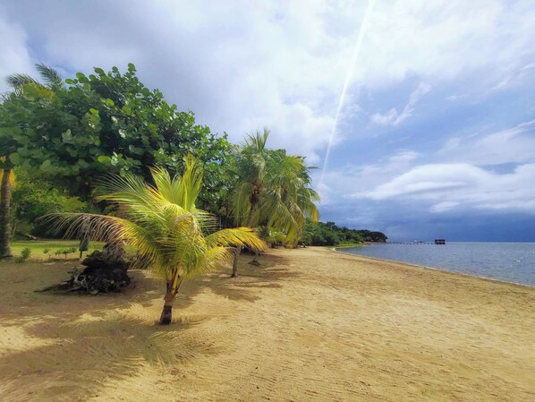 Sun-loungers, beach towels