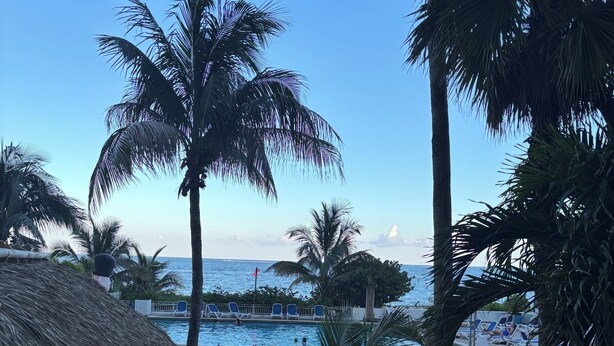 A pool area with palm trees, a thatched roof structure, and a view of the sea. - Tortuga festival special 1Bedroom  Suite,CityView Ft Lauderdale&Two QueenBeds (Fort Lauderdale)