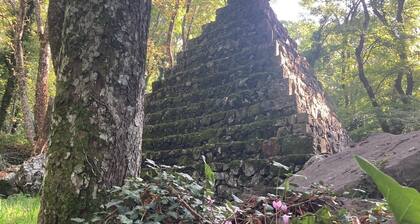 Cozy apartment 2 min from the center