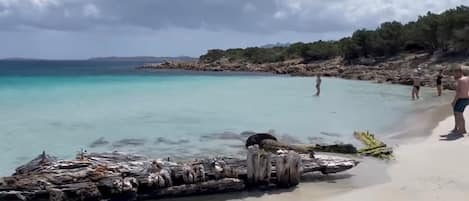 Serviettes de plage