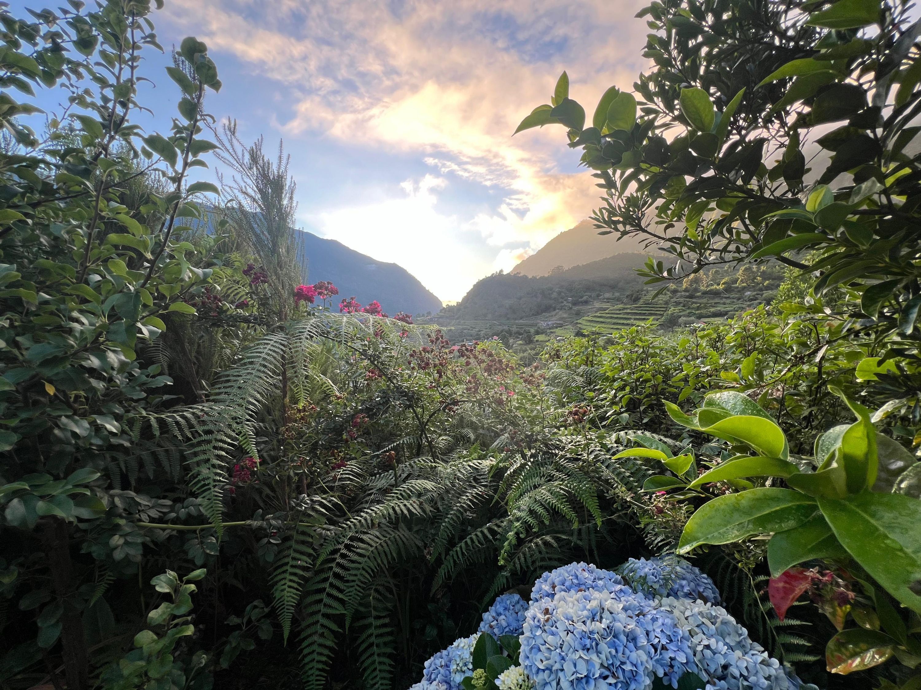하우스 | 1 개의 침실