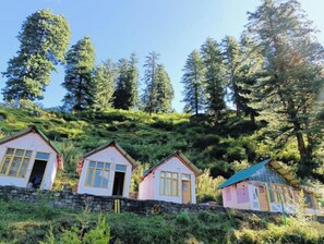 Exterior - Tosh Heights Cottages - THC #3

 (Tosh)