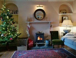 Télévision, cheminée, lecteur de DVD