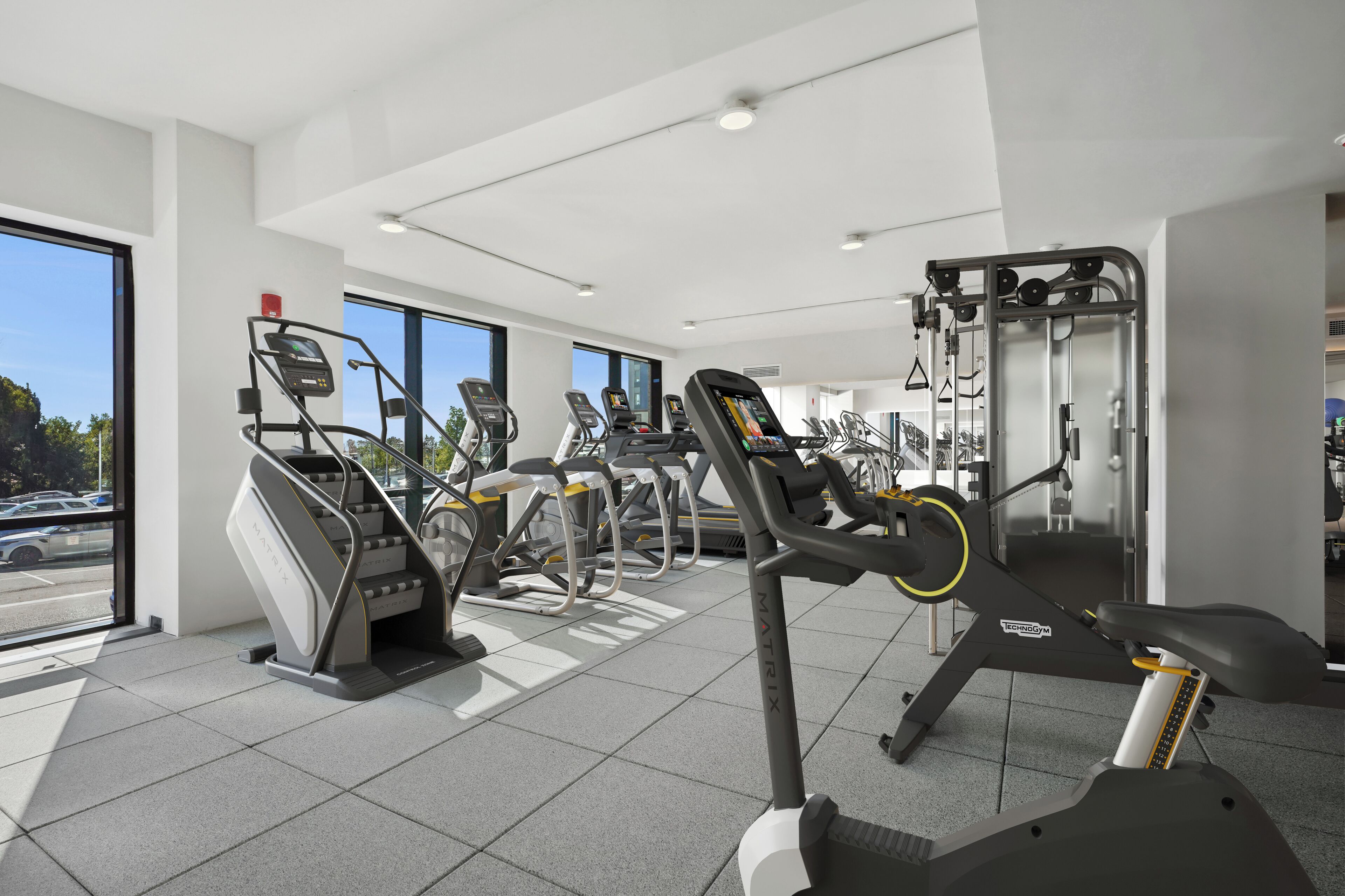 Gimnasium