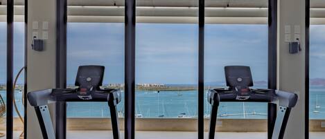 A fitness room with two treadmills facing a scenic view of the sea.