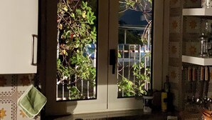 Cuina amb fogó de gas, finestra amb plantes i taulell de cuina.