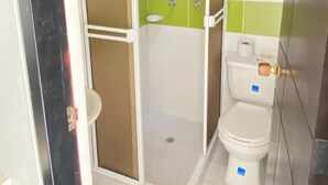 A bathroom with a shower enclosure, toilet, and a green-tiled wall.