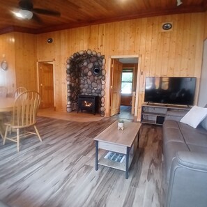 Smart-TV, Kamin