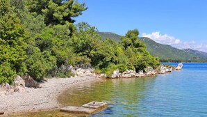 On peut clairement voir une plage avec un rivage rocheux, une eau limpide et de nombreux arbres verdoyants.