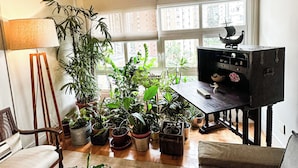 Un salon chaleureux avec une table basse en bois, un canapé et une variété de plantes en pot.