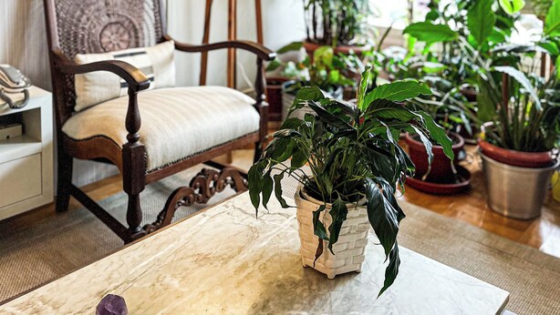 Un salon chaleureux avec un fauteuil en bois, une lampe sur pied et diverses plantes en pot.