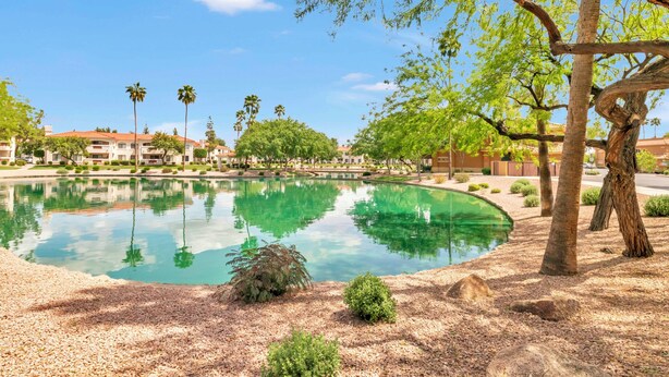 A landscaped area with a reflective pool, palm trees, and a building in the background. - Fully Furnished Remodeled Condo 2 Bed 2 Bath Superstition Springs on 1 level  (Mesa)