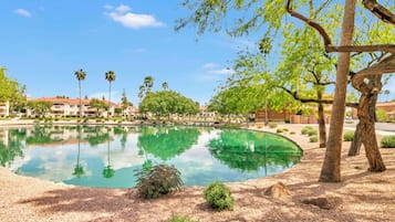 Piscine chauffée