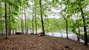 A forested area with a bench and a picnic table near a body of water. - Cozy and serene fishing cabin, Family Traditions,  private dock and lake views. (Gainesville)