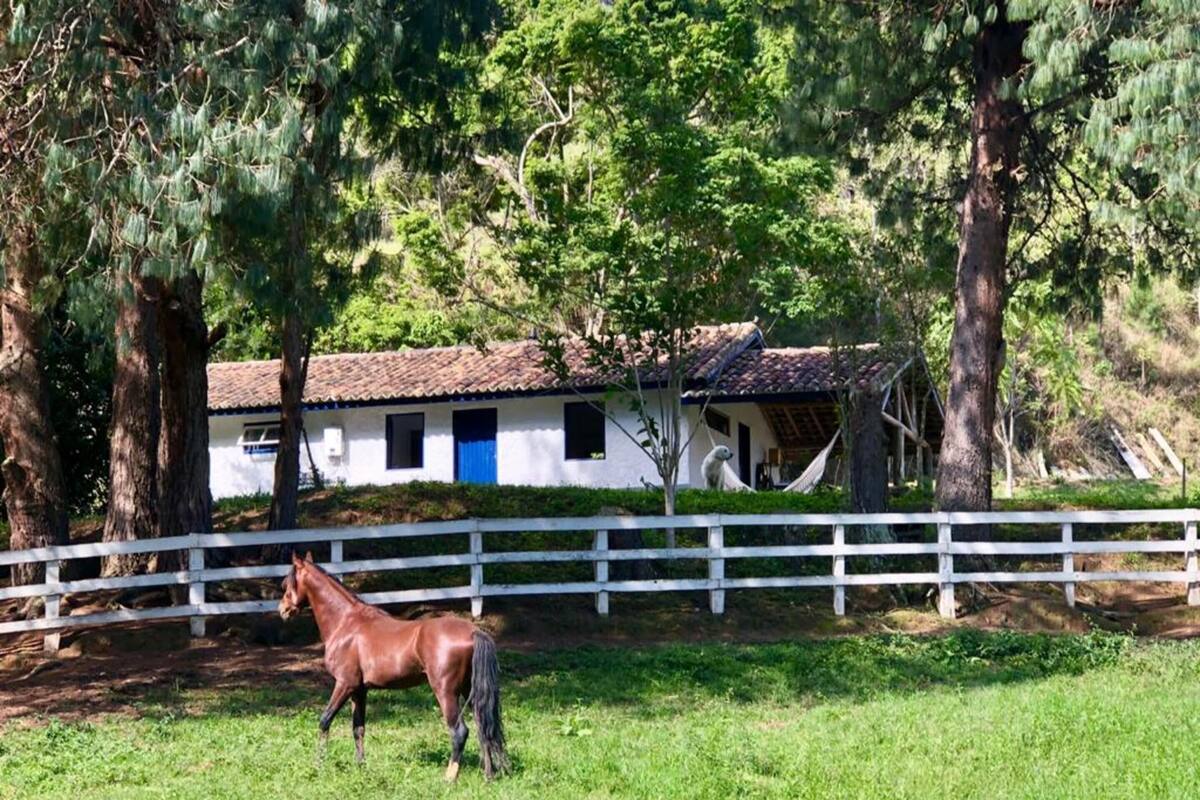 A stable with a white fence, a horse, and a building with blue doors.