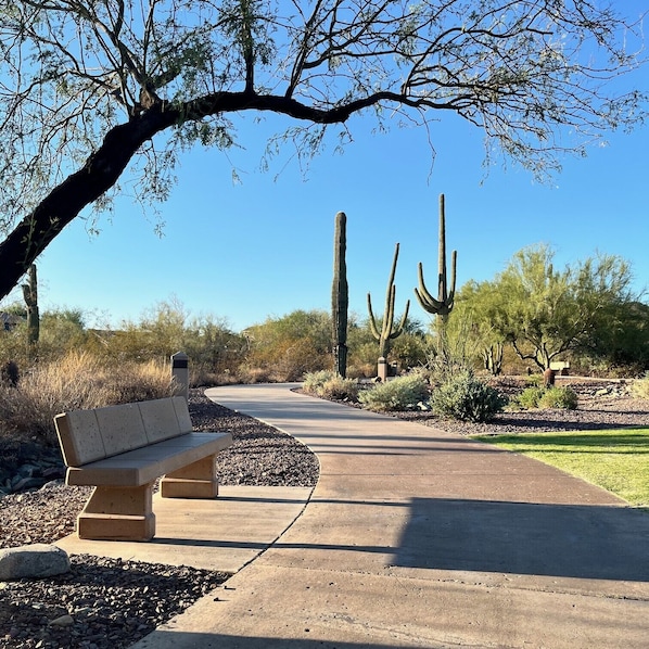 Un parque con un sendero pavimentado, bancos y cactus.