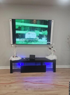 Television