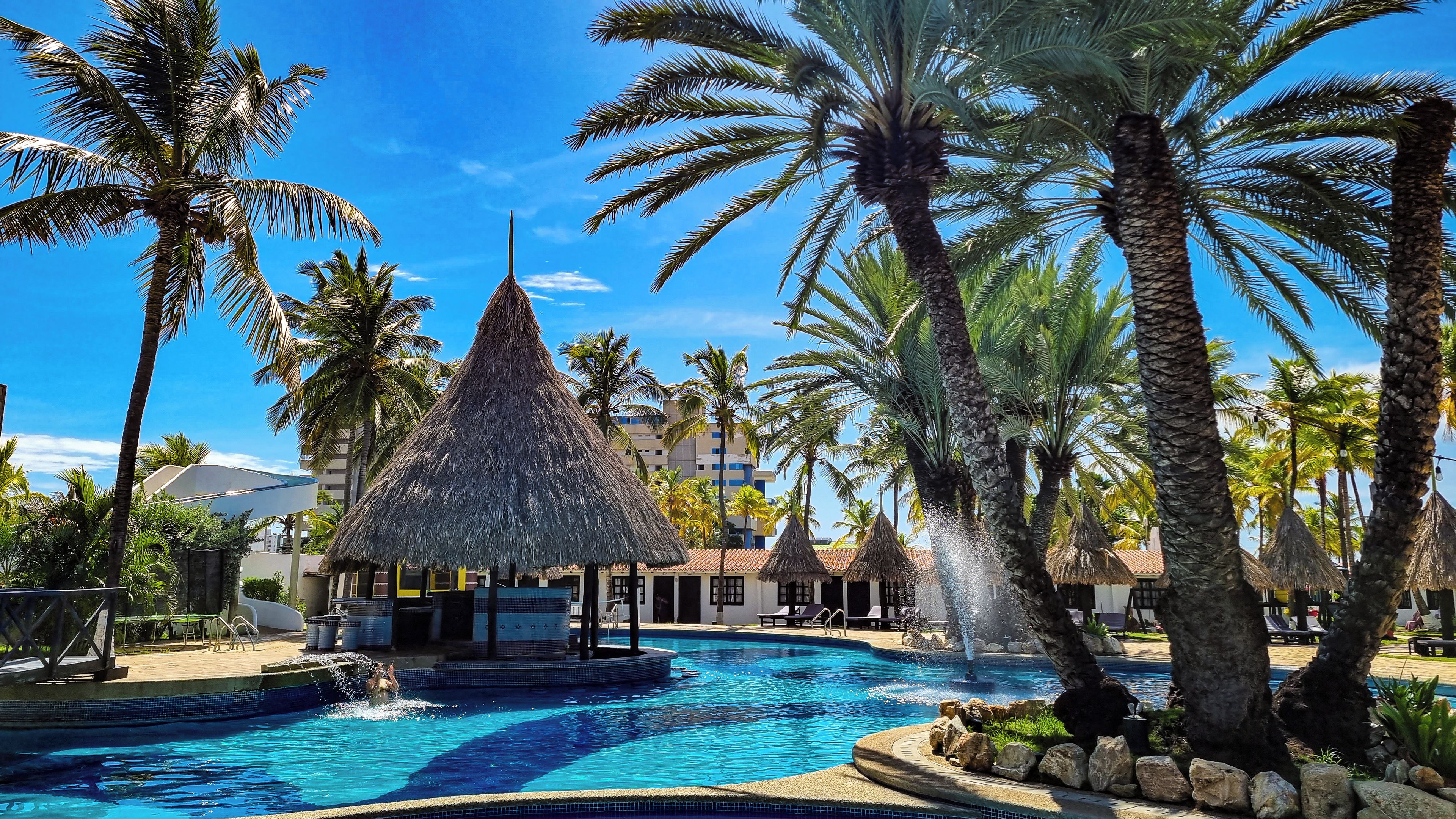 A swimming pool with a thatched-roof structure, surrounded by palm trees and lounge chairs.