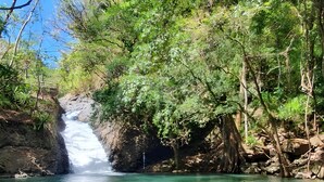 Uma pessoa nadando em um rio transparente com uma cascata ao fundo.