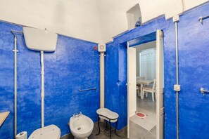 Shower, free toiletries, hair dryer, bidet