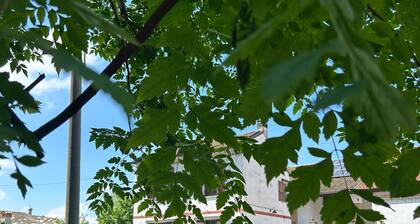 Home and Garden, relaxation in Crema, old barn now home "Butterfly"