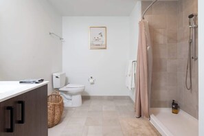 Shower, hair dryer - Upscale 1BR near MIT Harvard with Parking! (Cambridge)