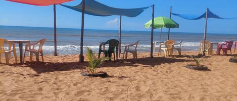 Playa en los alrededores y camastros