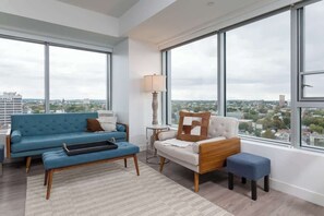 Télévision, cheminée, jeux vidéo, livres