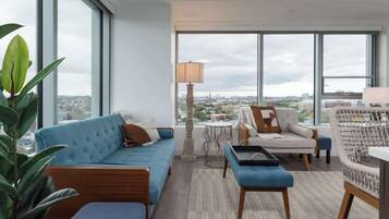 TV, fireplace, video games, books