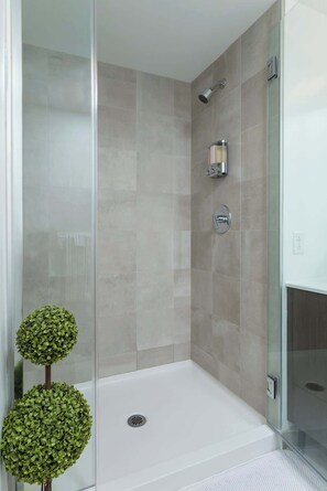 Shower, hair dryer