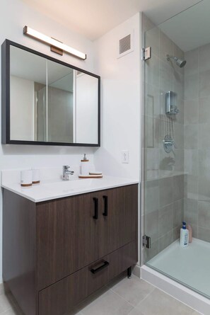Shower, hair dryer, shampoo - Central Square 2BR Condo near Harvard  & MIT Spacious Gym & Work (Cambridge)