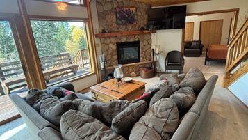 Smart TV, fireplace, DVD player, books