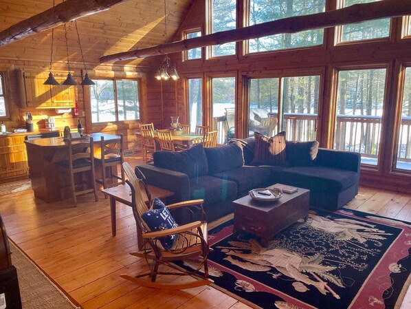 Smart TV, fireplace, books, video library