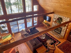 Smart TV, fireplace, books, video library