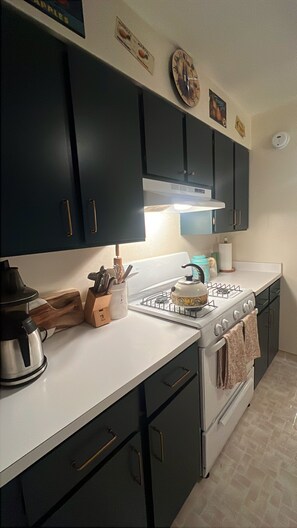 Fridge, oven, stovetop, dishwasher