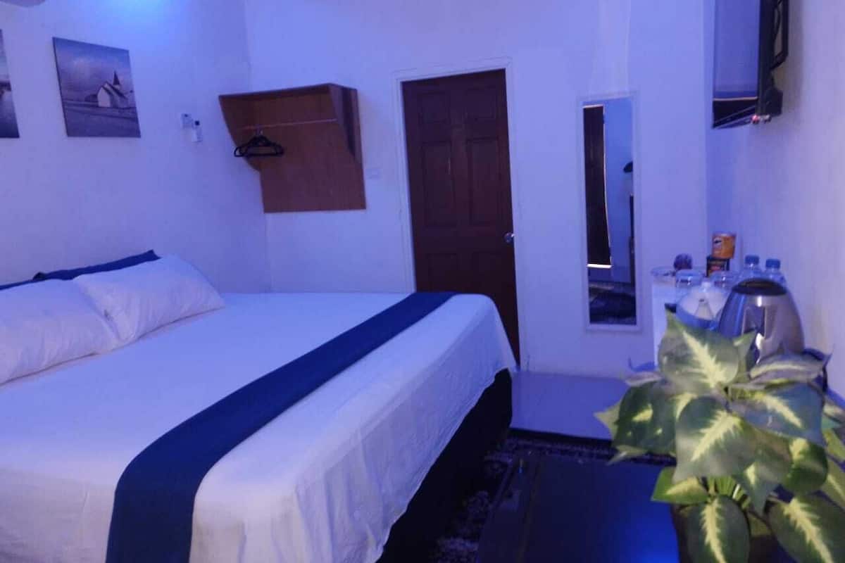 A hotel room with a bed, a desk with a chair, a potted plant, a door, and a wall-mounted TV.