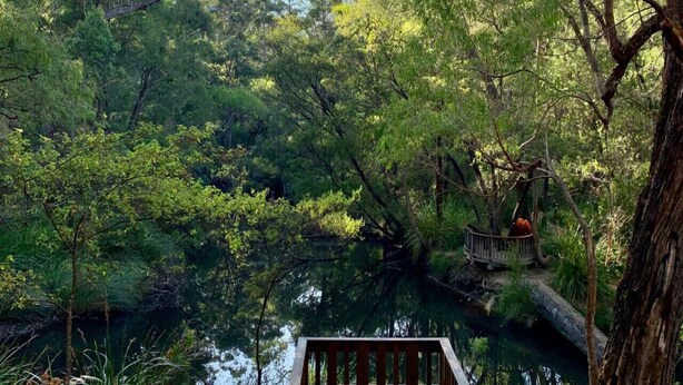 A wooden deck overlooking a forested area with a pond.