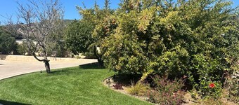 Hidden Modern Gem in the Heights of Camarillo, CA