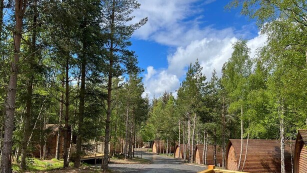 A forested area with wooden cabins and a paved path. - Cosy Couples Cabin in the Scottish Highlands (Tomintoul)