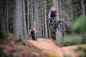 A mountain biker on a dirt trail surrounded by tall trees.