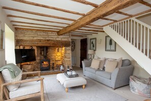 TV, fireplace - Stunning dog friendly country house - Ford Bank Cottage (Ford)
