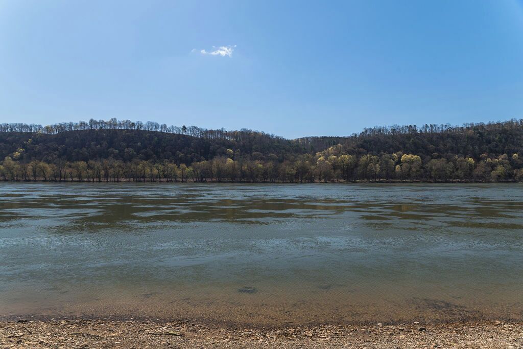 Ein Fluss mit einer bewaldeten Hügelkette im Hintergrund.