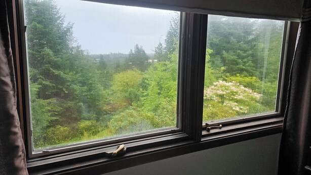 Een raam met uitzicht op weelderig groen bladerdak en een witte bloem op de voorgrond.
