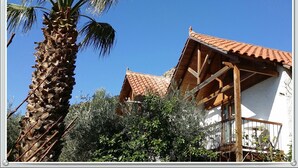 Ein Gebäude mit Ziegeldach und Holzbalken, umgeben von Grünflächen und einer Palme.