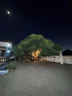 Overnattingsstedets uteområder