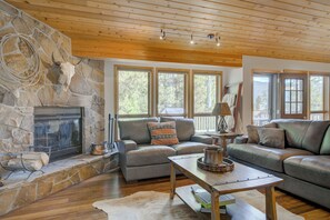 Smart TV, fireplace, books, music library