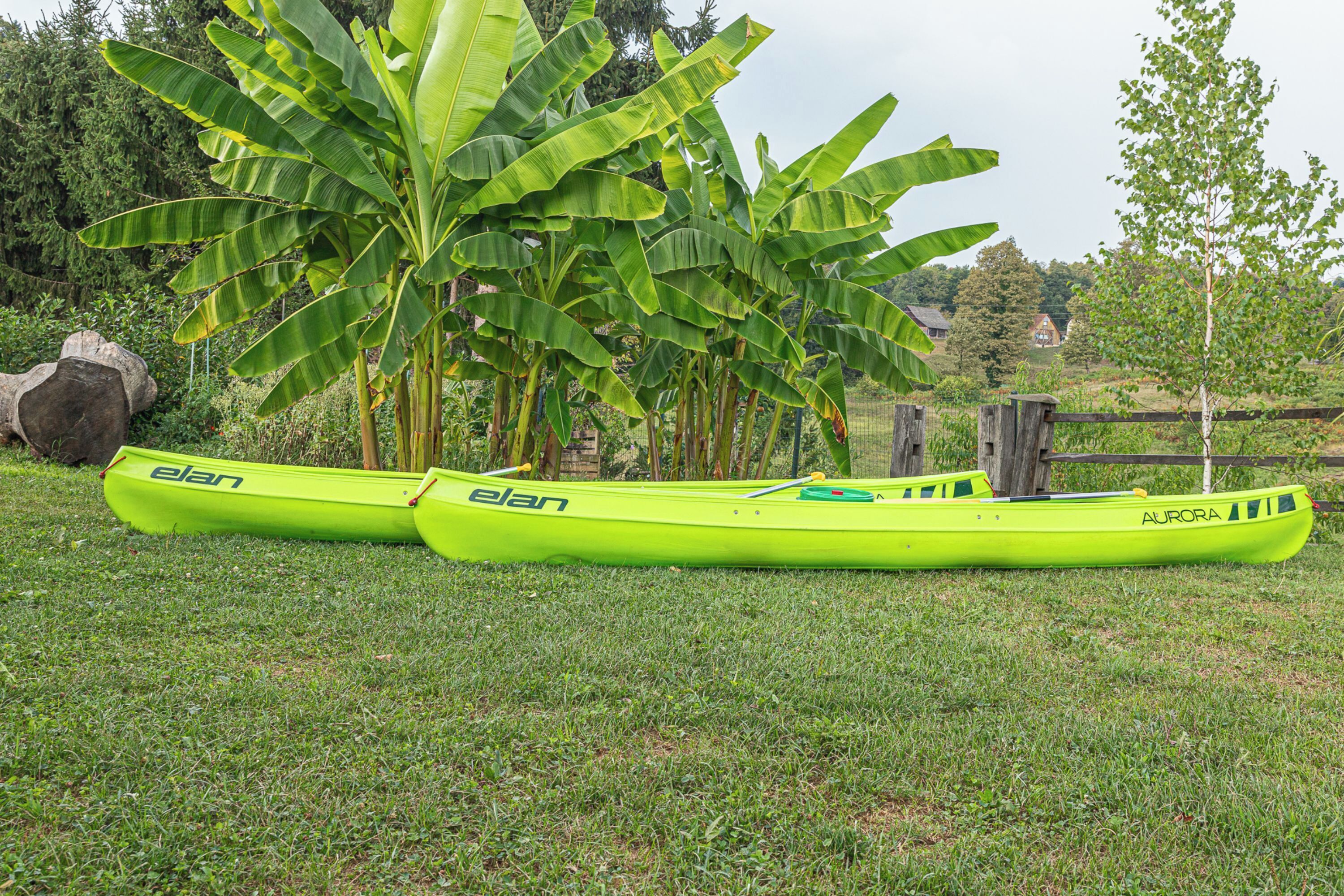 Two bright green kayaks labeled 'elan' and 'aurora' on a grassy field with banana trees and a wooden fence in the background.