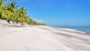 A beach with white sand, palm trees, and a clear blue sky.