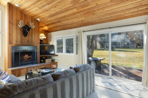 Smart TV, chimenea y libros 