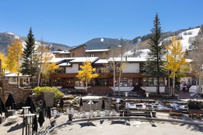 Uklassifisert bilde, 2 av 42, knapp